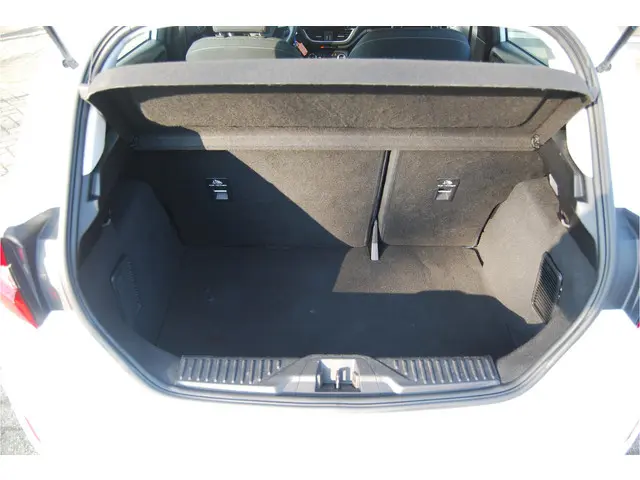 Ford Fiesta 1.0 EcoBoost Titanium 100PK 5dr 2020 Benzine 6