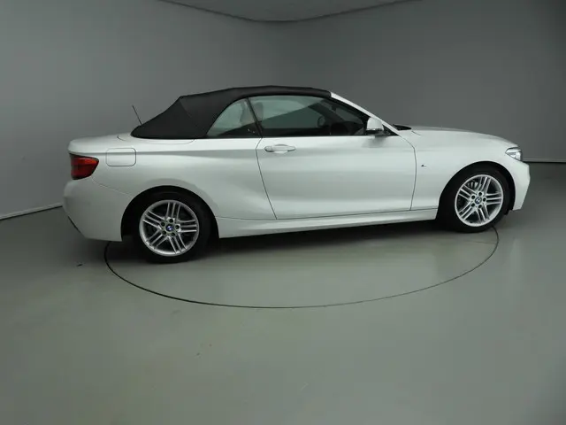 BMW 2 Serie Cabrio 220i 2018 Benzine 23