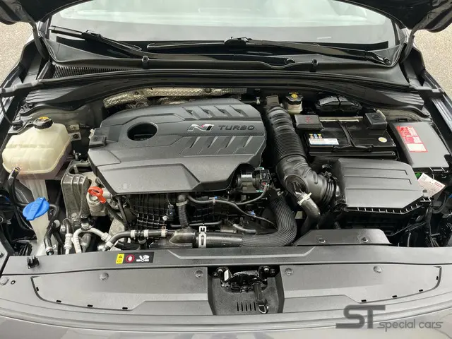 Hyundai i30 2.0 T-GDI N2 Performance|Pano 2018 Benzine 27