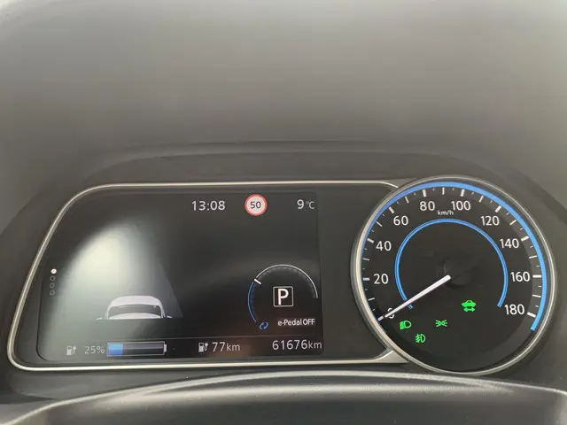 Nissan Leaf 2