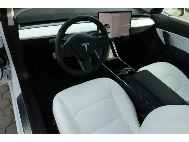 Tesla Model 3 Performance AWD 75 kWh 2019 Elektrisch 3