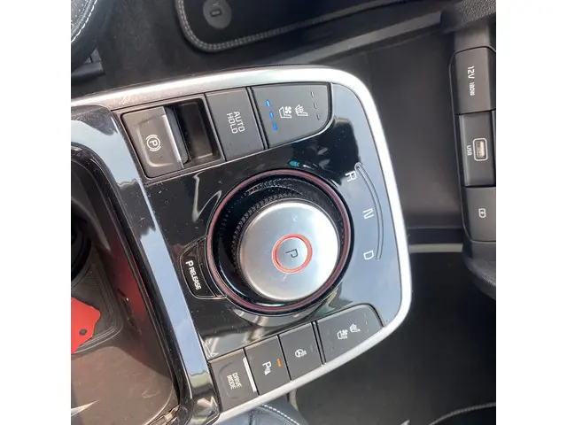 Kia e-Niro ExecutiveLine 64kWh 2019 Elektrisch 15