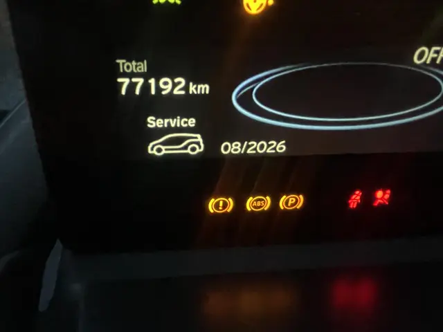 BMW i3 Basis 94Ah 33 kWh 2017 Elektrisch 16