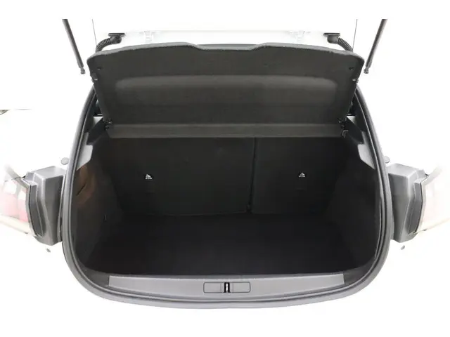 Peugeot 208 1.2 PureTech 100pk Active 2021 Benzine 13