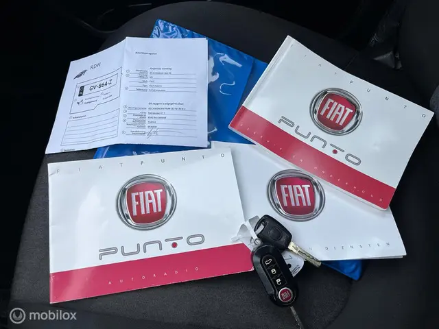Fiat Punto Evo 0.9 TwinAir Lounge 2015 Benzine 10