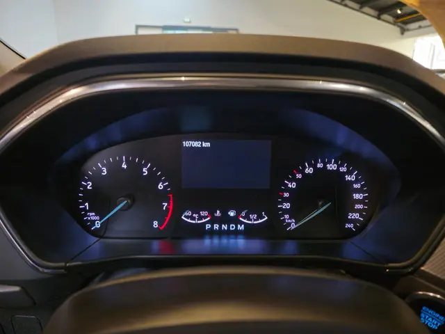 Ford Focus 1.0 EcoBoost Titanium Business 2019 Benzine 12