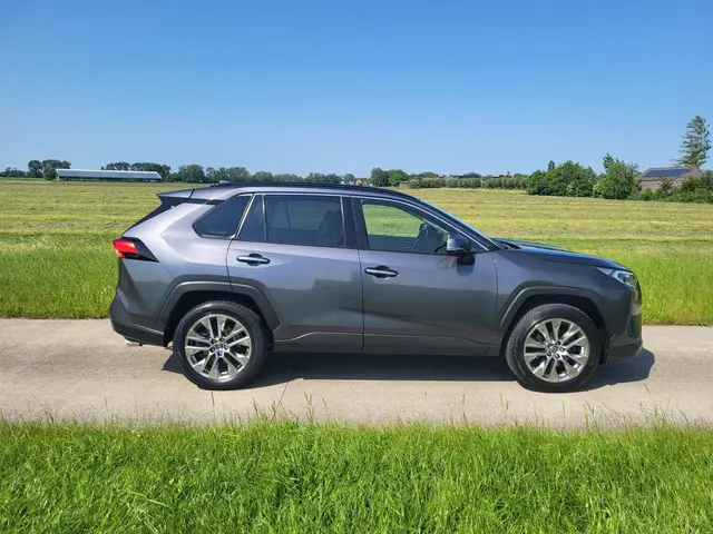 Toyota RAV4 2.0 VVT-iE Executive 2019 Benzine 11