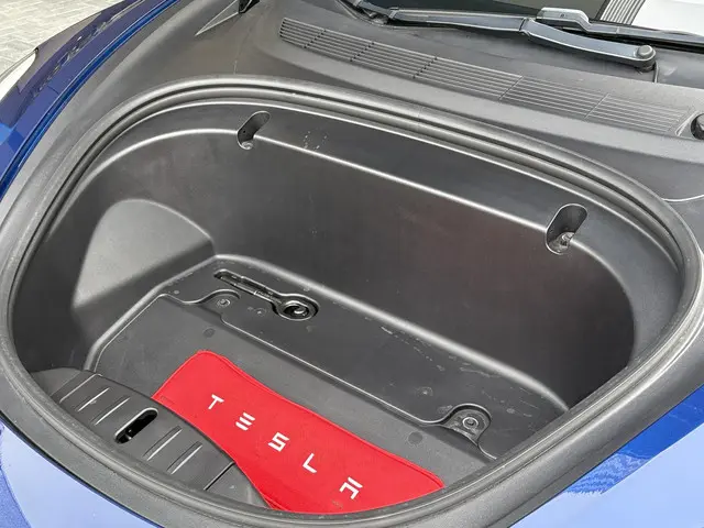 Tesla Model 3 Standard RWD Plus 60 kWh 2020 Elektrisch 37