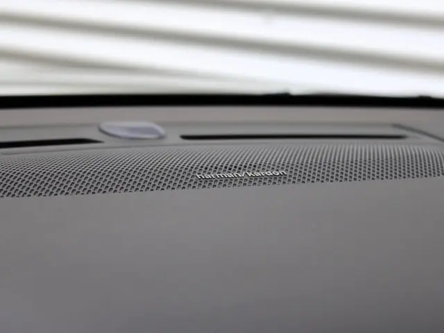 Volvo XC40 2.0 B4 Plus Dark 2024 Benzine 20