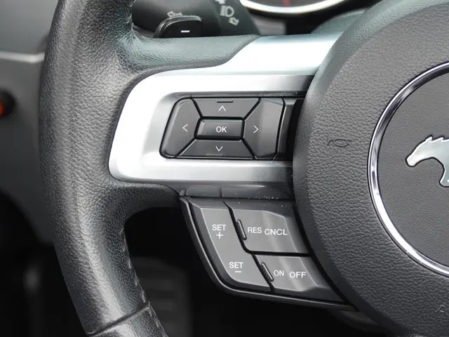 Ford Mustang Convertible 2.3 EcoBoost 310PK 2015 Benzine 29