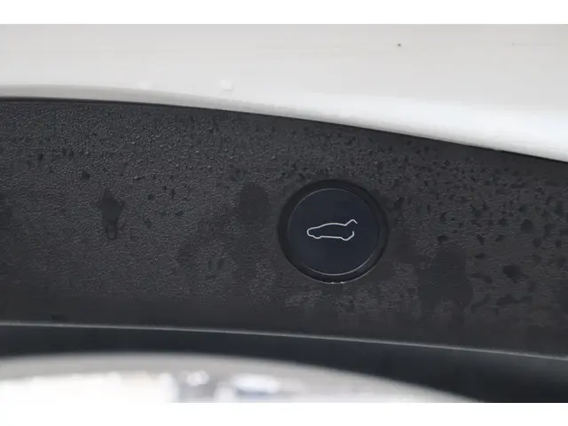 Tesla Model 3 Long Range AWD 75 kWh 2021 Elektrisch 18