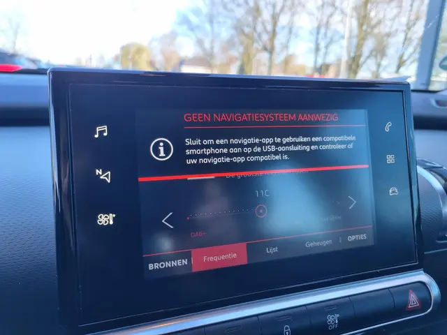 Citroën C4 Cactus 1.2 PureTech Feel 2020 Benzine 12