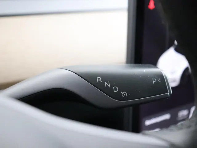 Tesla Model 3 Standard RWD Plus 60 kWh 2020 Elektrisch 18