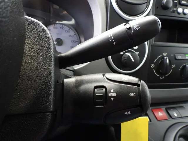 Citroën Berlingo 1.6 BlueHDi 4x4 Dangel 2016 Diesel 12