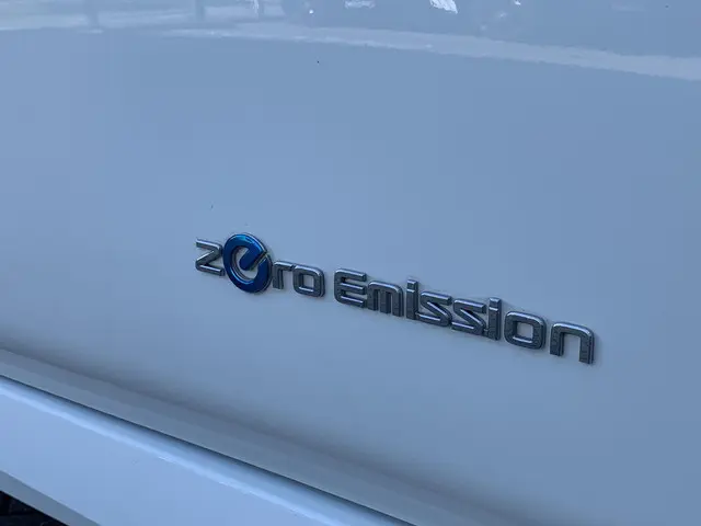 Nissan Leaf Acenta 40 kWh 2020 Elektrisch 25