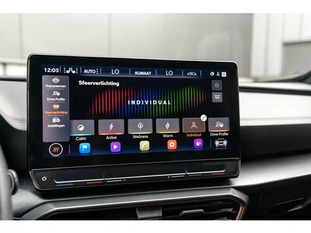 CUPRA Formentor 2.0 TSI 4DRIVE Beats Camera 2021 Benzine 55