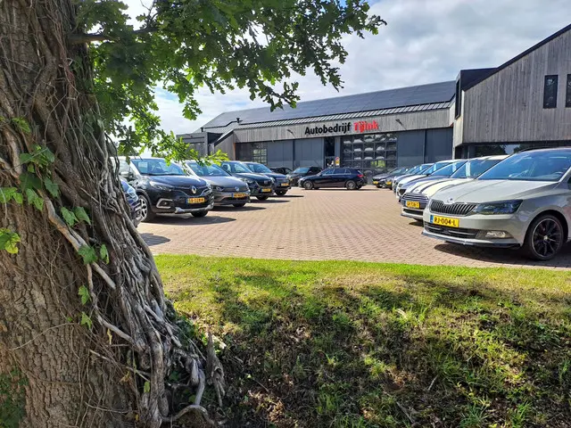 Volvo V90 2.0 T4 Momentum 2019 Benzine 20