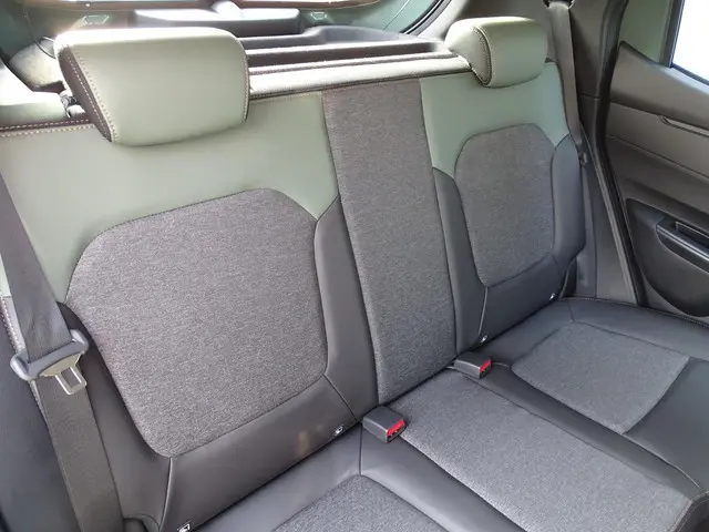 Dacia Spring Extreme 100 24.3 kWh 2026 Elektrisch 8