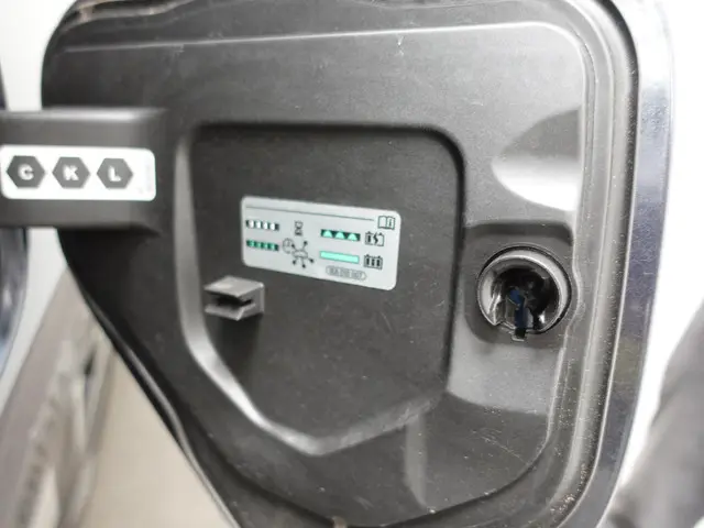 Volkswagen ID. Buzz Cargo 77 kWh 2023 Elektrisch 35