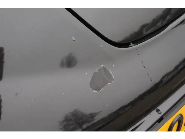 Nissan Leaf Tekna 24 kWh 2016 Elektrisch 16