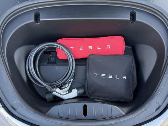 Tesla Model 3 Long Range AWD 75 kWh 2019 Elektrisch 36