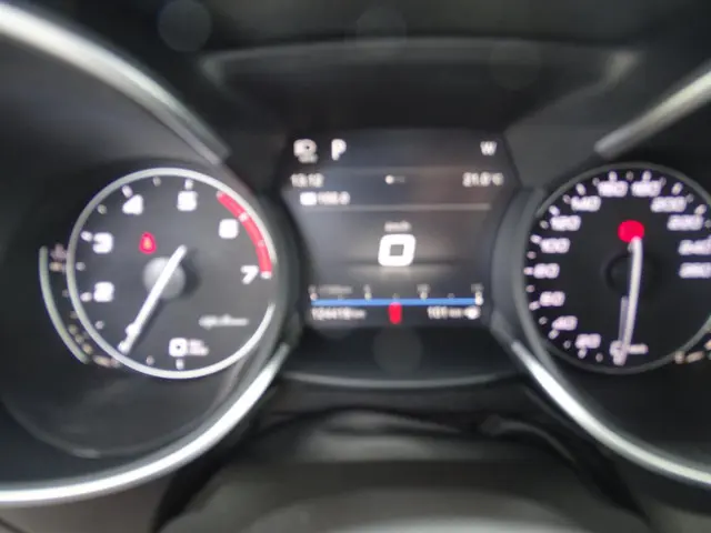 Alfa Romeo Stelvio 2.0 T AWD Super 2020 Benzine 15