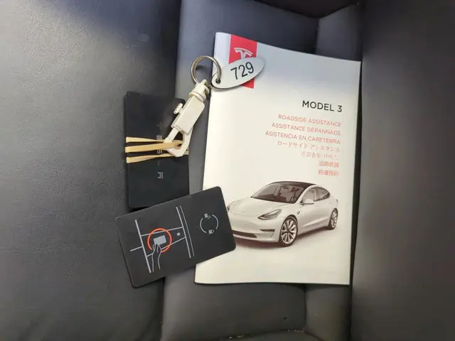 Tesla Model 3 Range Plus 2020 Elektrisch 16