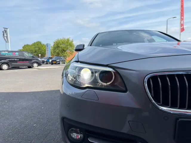 BMW 5 Serie 520i Luxury Edition 2016 Benzine 8