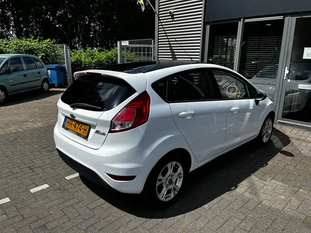 Ford Fiesta 1.0 White Edition 2015 Benzine 9