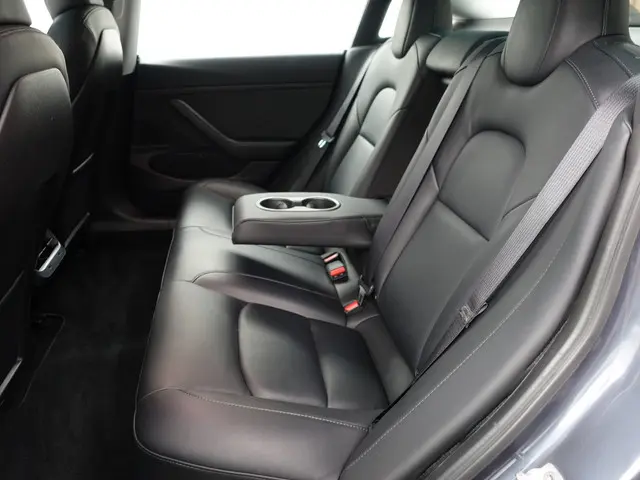 Tesla Model 3 Long Range AWD 75 kWh- 2019 Elektrisch 18