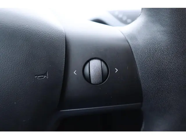 Tesla Model 3 Long Range AWD 75 kWh 2021 Elektrisch 26