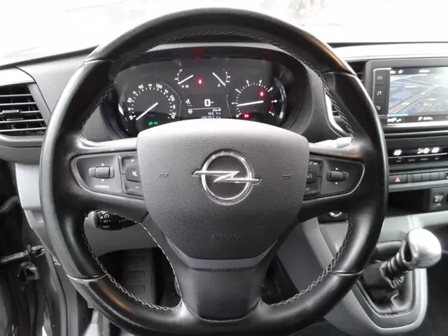 Opel Vivaro 2.0 CDTI L3H1 Innovation 2019 Diesel 12