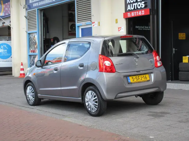 Suzuki Alto 2