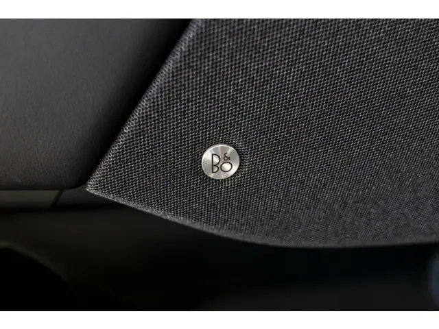 Ford Mustang Mach-E RWD 75 kWh 2021 Elektrisch 30