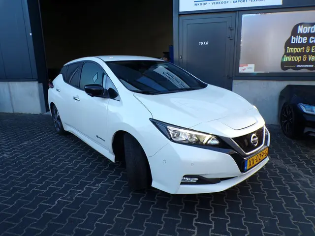 Nissan Leaf Tekna 40 kWh 2019 Elektrisch 3