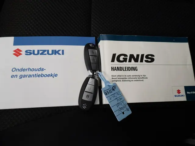Suzuki Ignis 1.2 Smart Hybrid Stijl 2019 Benzine 26