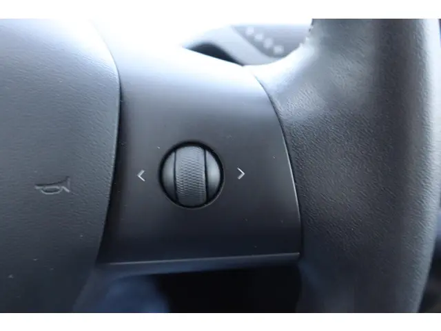 Tesla Model 3 Standard RWD Plus 60 kWh 2020 Elektrisch 25