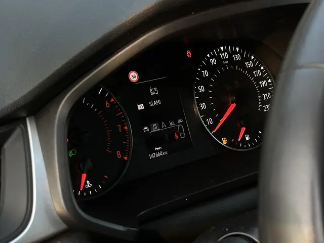 Renault Captur 1.0 TCe 100 Bi-Fuel Zen 2020 LPG/Gas 14