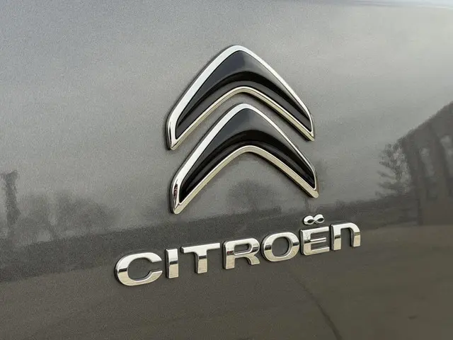 Citroën C4 Cactus 1.2 PureTech Feel 2018 Benzine 39