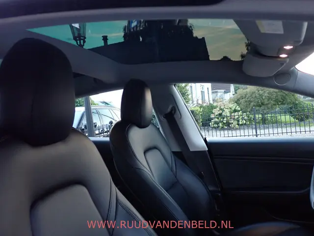 Tesla Model 3 Performance AWD 75kWh 2020 Elektrisch 31