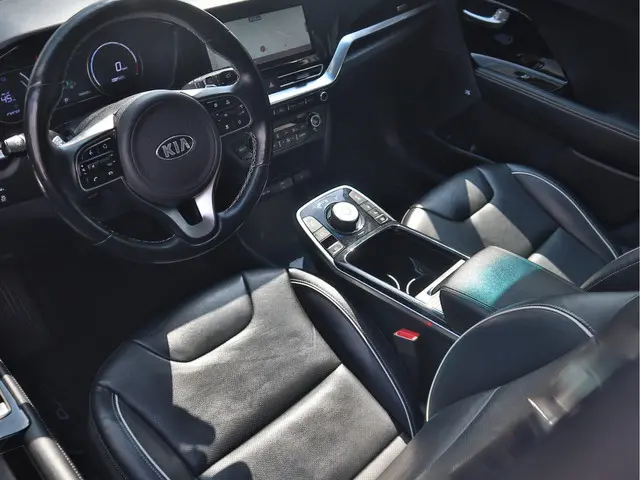 Kia e-Niro ExecutiveLine 64 kWh 2020 Elektrisch 21