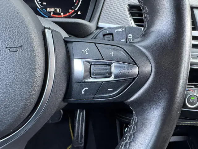 BMW X2 SDRIVE20I BUSINESS EDITION 2021 Benzine 21