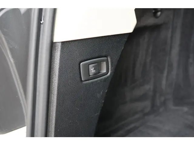 BMW 5 Serie Touring 530d High Executive 2020 Diesel 27