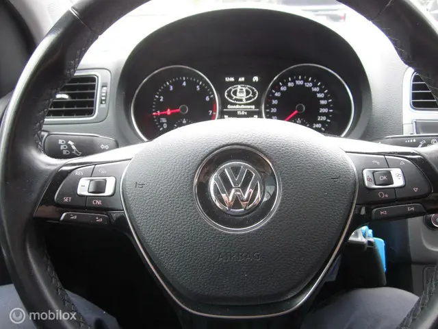 Volkswagen Polo 1.0 BlueMotion Edition 2017 Benzine 12