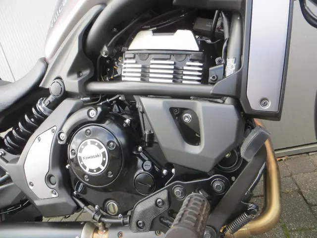 Kawasaki Vulcan S Performance 2024 Benzine 8