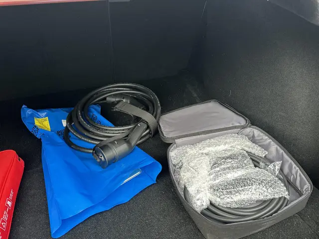 Tesla Model 3 Long Range AWD 78 kWh 2023 Elektrisch 6