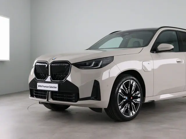 BMW X3 30e xDrive 2025 Hybride Benzine 20