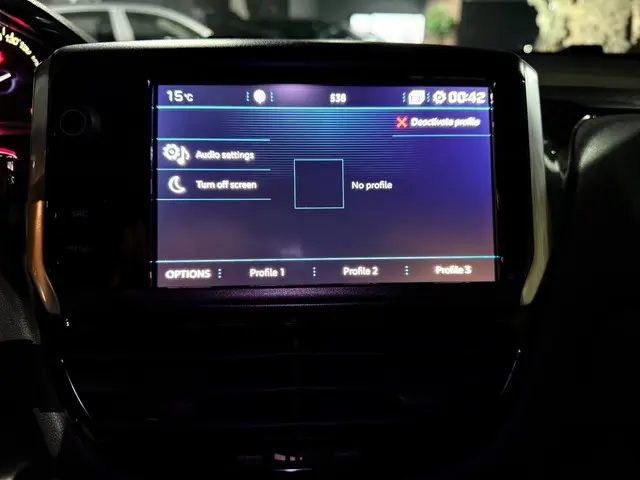 Peugeot 208 1.2 PureTech | Signature |NAP | 2019 Benzine