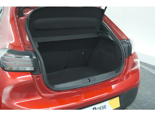 Peugeot 208 PureTech 100 Active 2024 Benzine 53