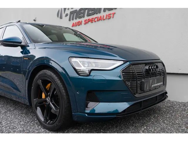 Audi e-tron 50 Quattro 2020 Elektrisch 20